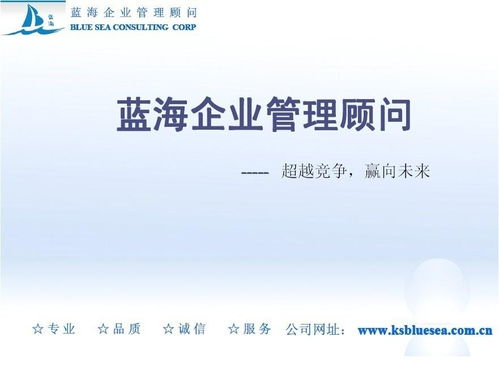 探索藍海 企業(yè)管理咨詢的創(chuàng)新之路