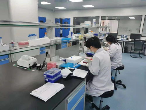 奮進(jìn)正當(dāng)時(shí) 固安產(chǎn)業(yè)新城的“犇”騰之勢(shì)與電氣科技新浪潮